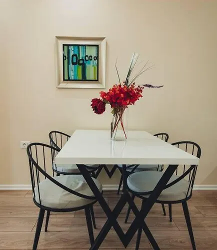 Apartment Luxury At Myslym Shyri